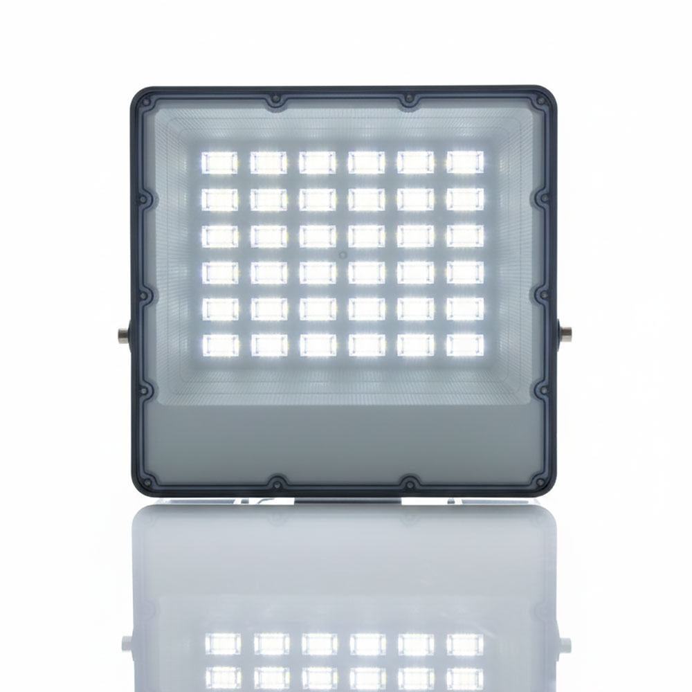 PROJECTEUR 100W GRIS